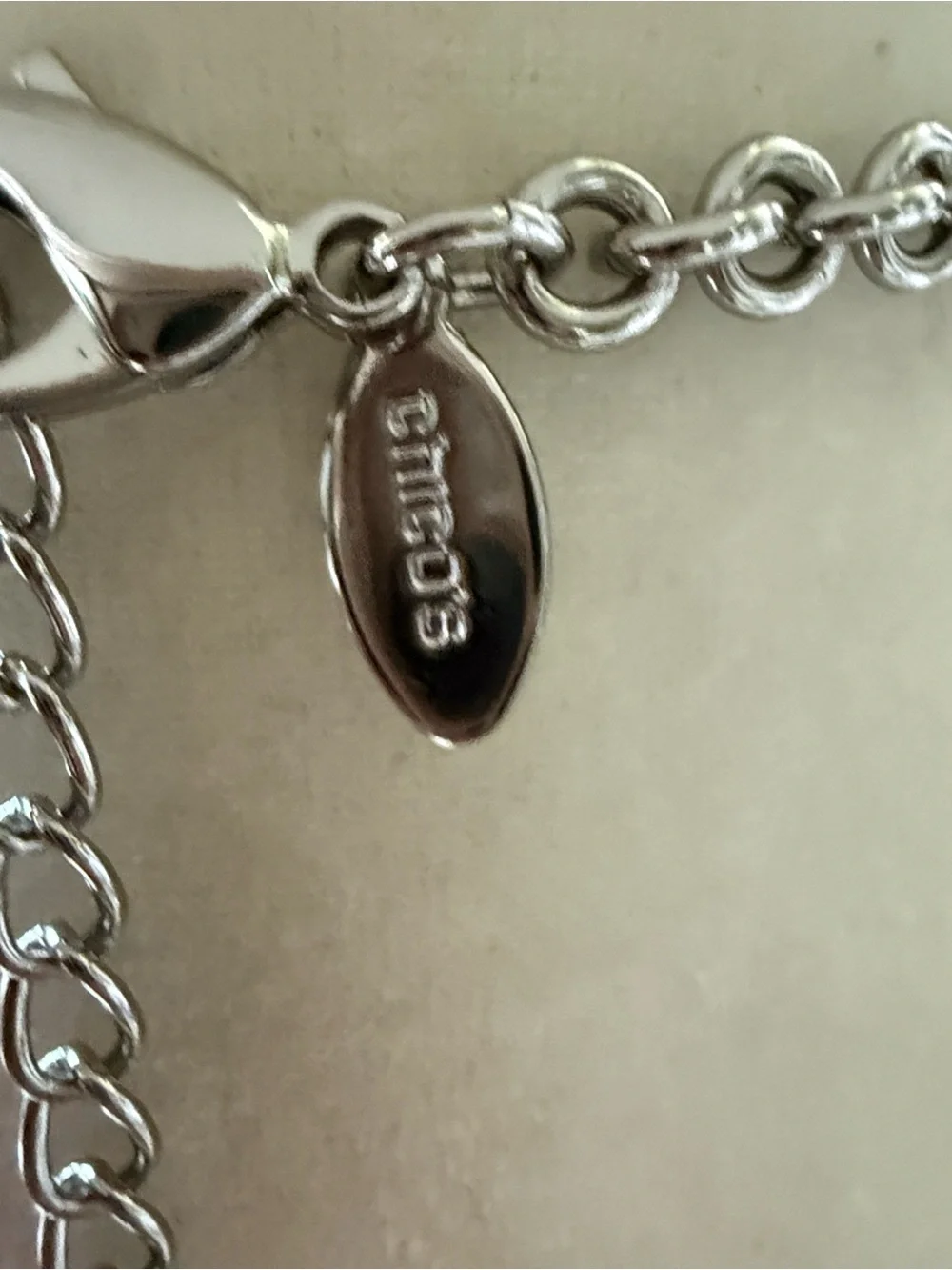 Chico’s Long Statement Necklace